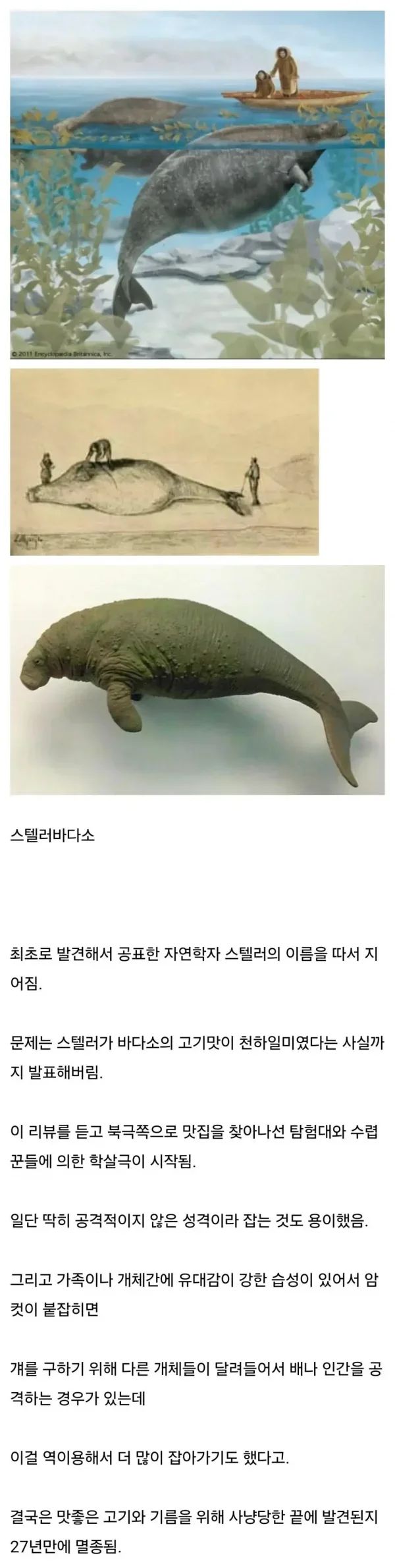 달팽이게임픽분석