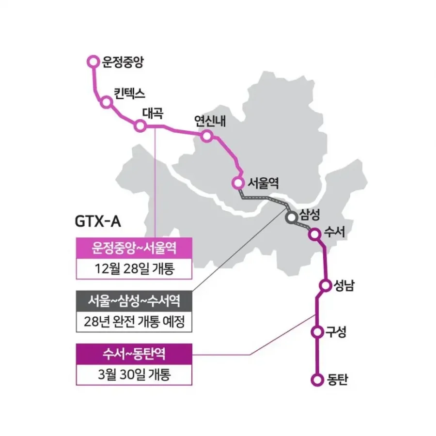 사다리 분석과 실시간패턴통계