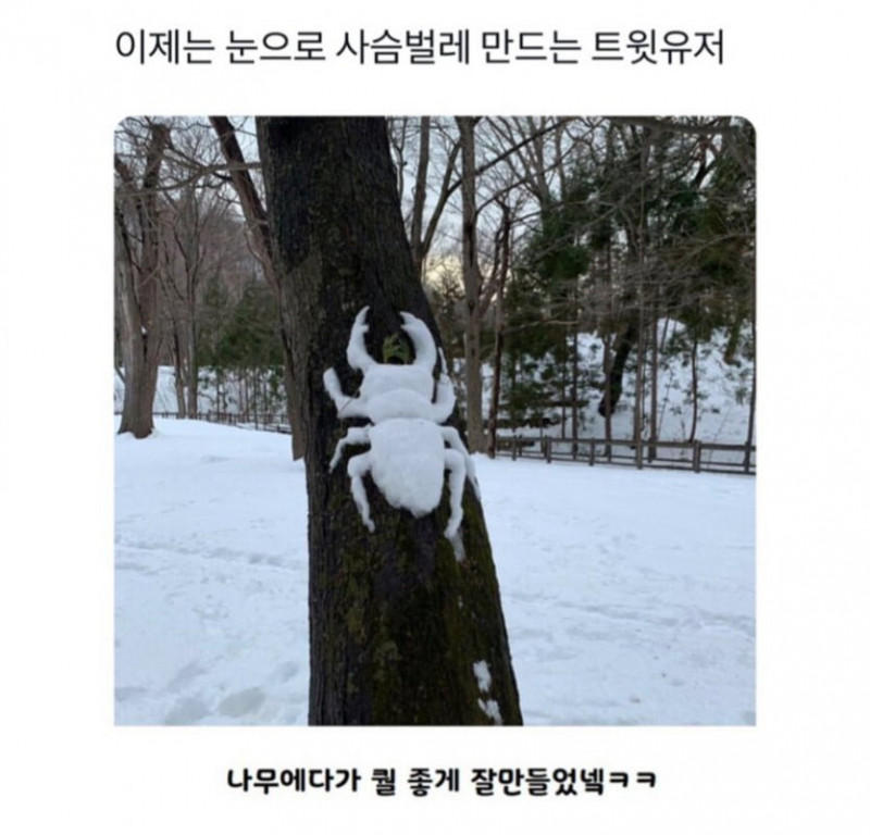 달팽이게임통계