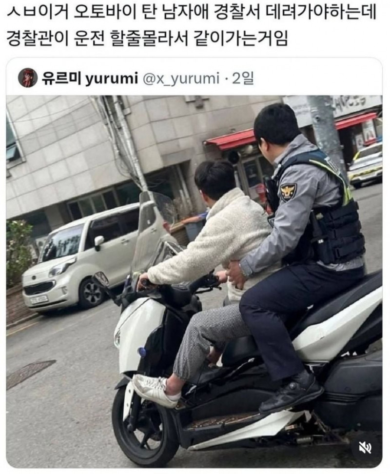 나눔로또 파워볼분석기