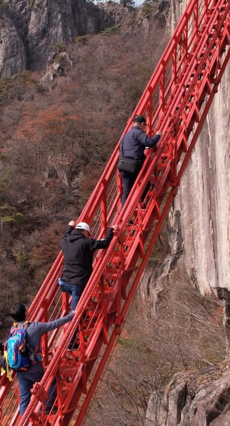 실시간파워볼