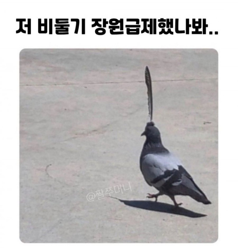 파워볼게임