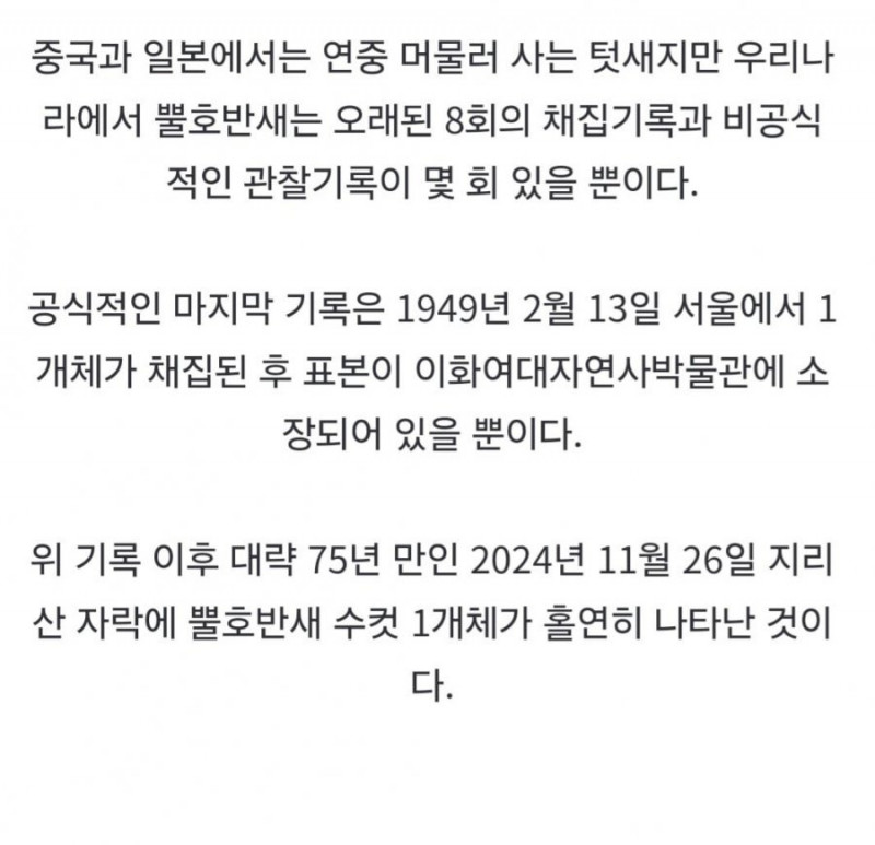 사다리 분석과 실시간패턴통계