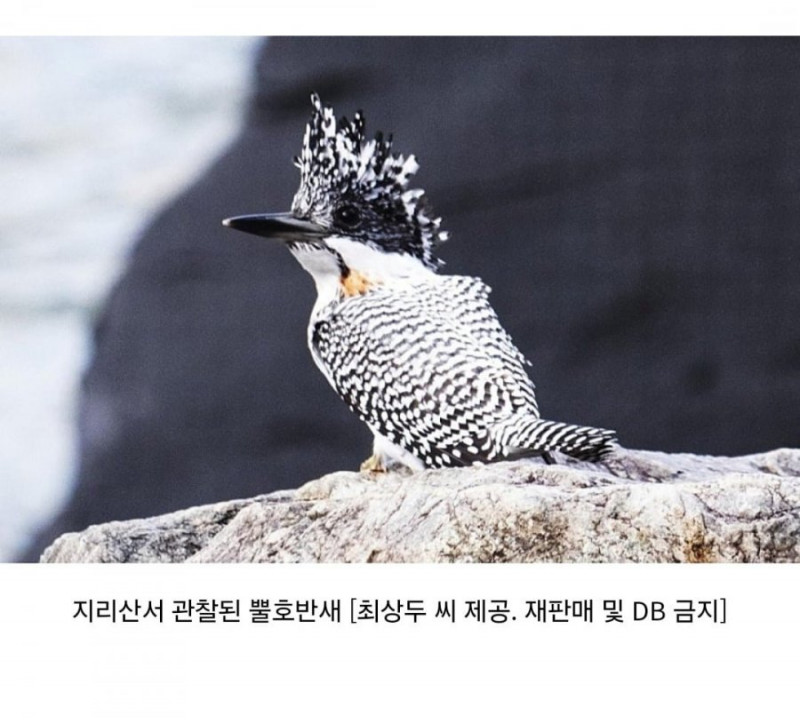 달팽이필승