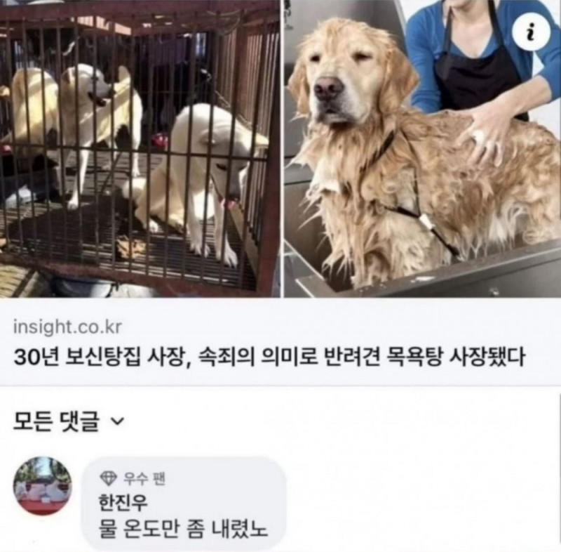 달팽이게임분석기