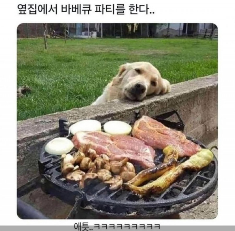 달팽이게임