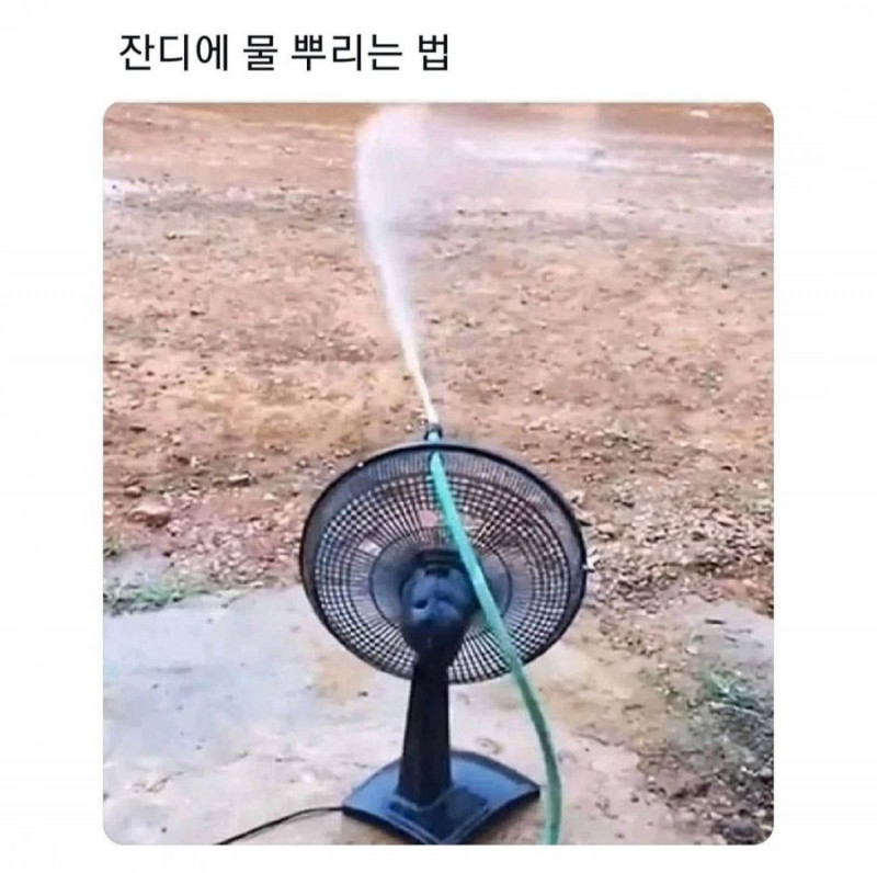 성인게임