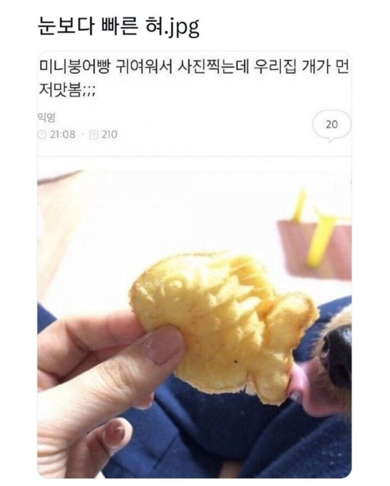 사다리 분석과 실시간패턴통계