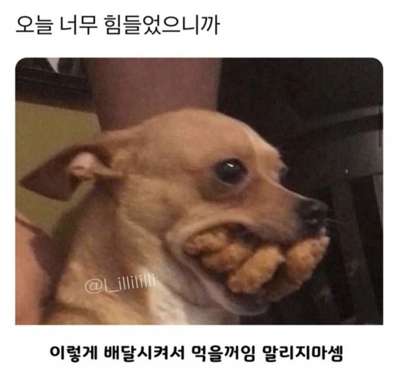 실시간달팽이