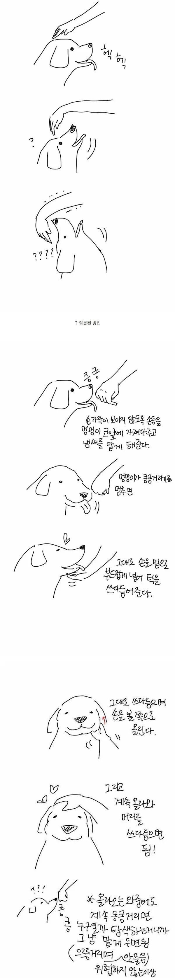 사다리 분석과 실시간패턴통계