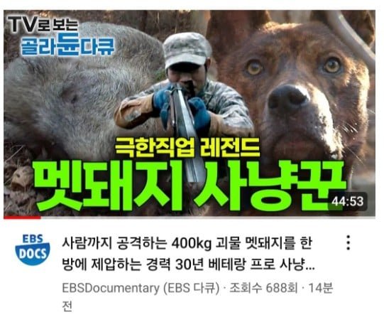 파워볼