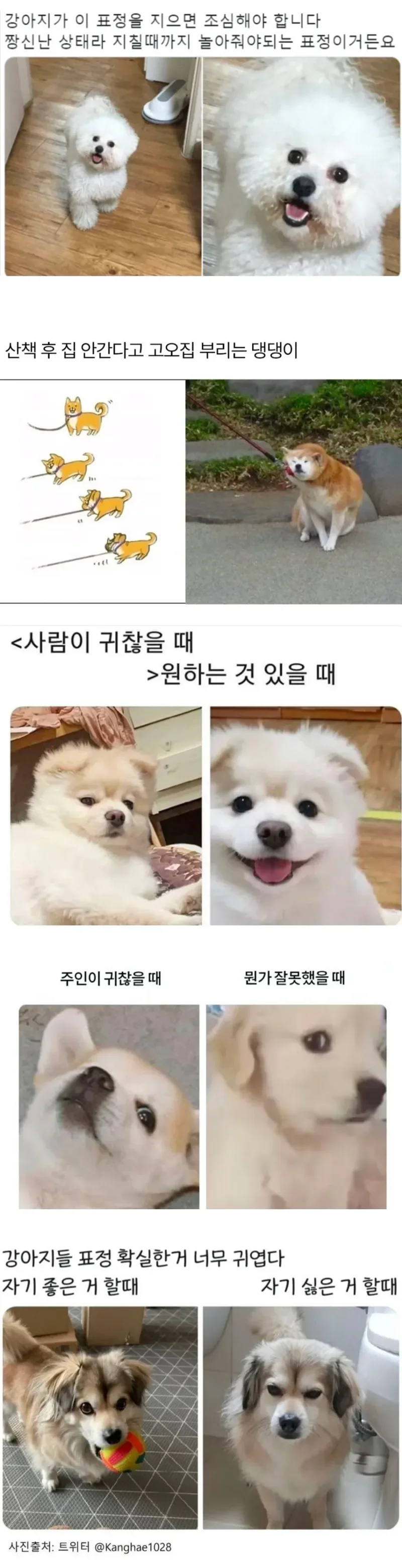 파워볼게임