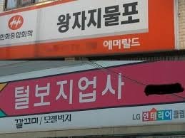 달팽이게임픽