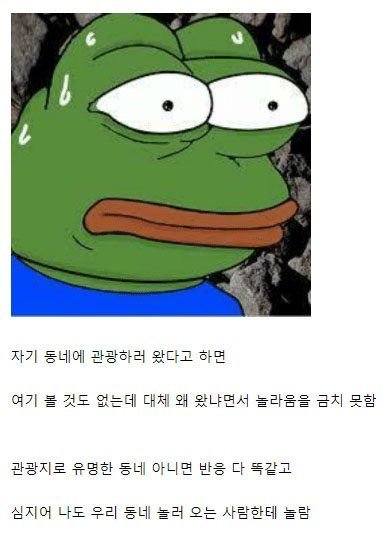 다리다리 분석과 실시간패턴통계