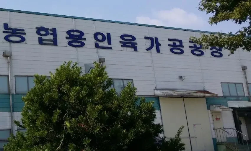 파워볼게임픽분석