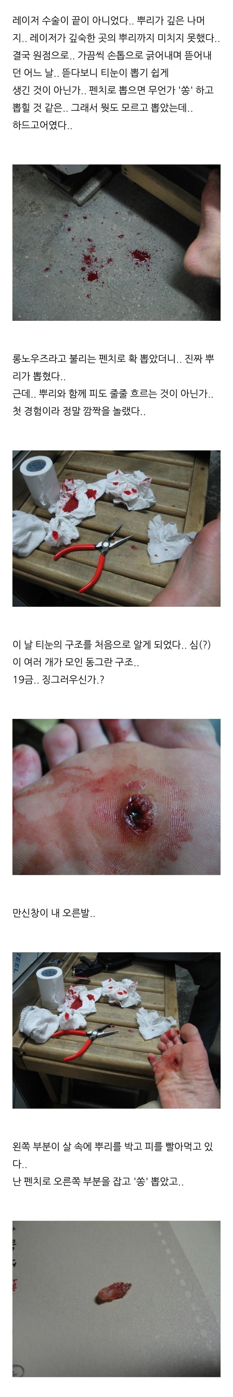 실시간게임