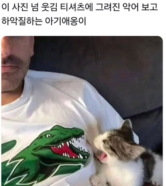 파워볼게임분석