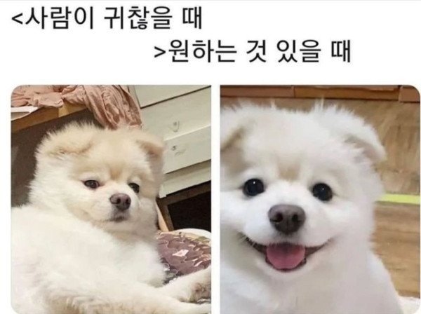 달팽이게임분석