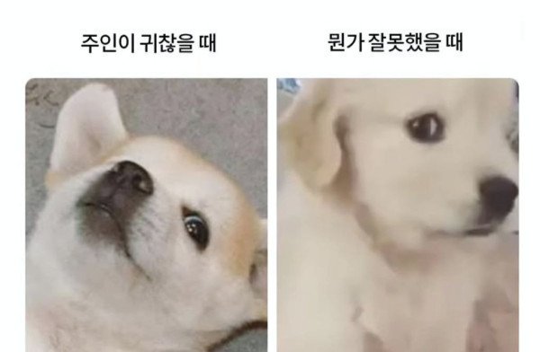 실시간사다리