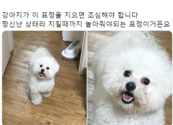 달팽이 분석과 실시간패턴통계