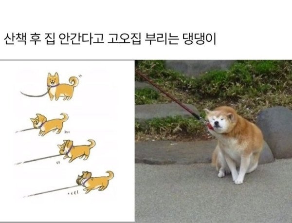 달팽이게임분석