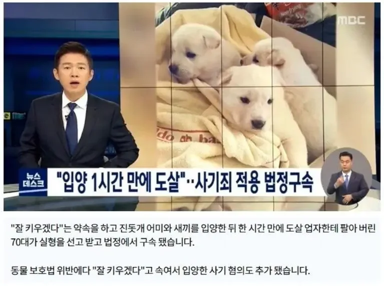 달팽이게임분석