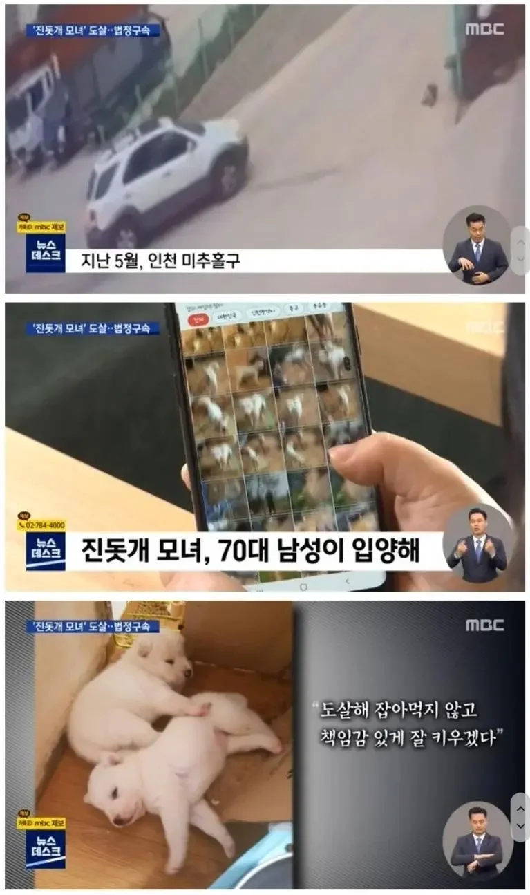 달팽이게임분석기