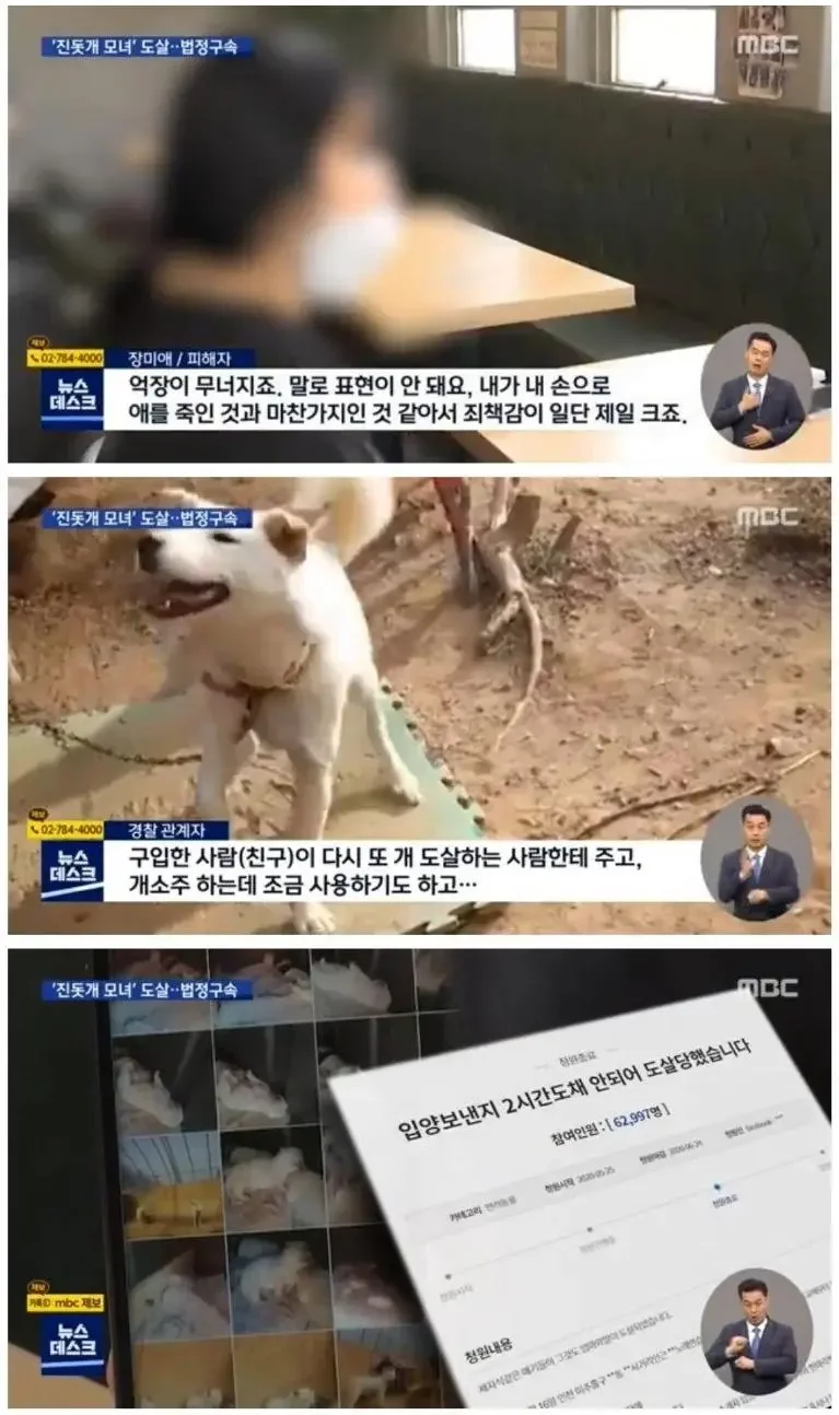 실시간게임