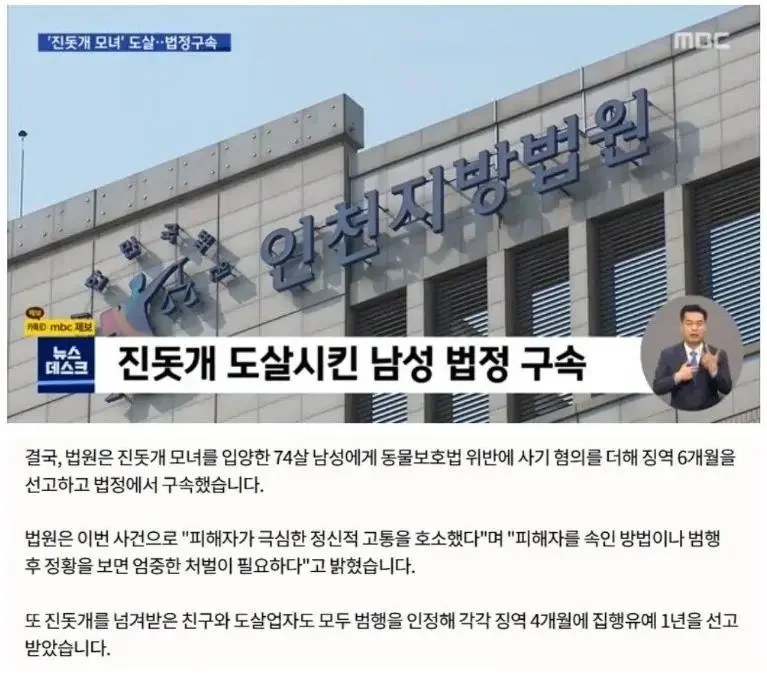 달팽이 분석과 실시간패턴통계