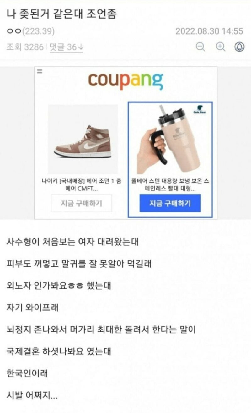 사다리 분석과 실시간패턴통계