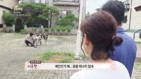 파워볼 분석과 실시간패턴통계