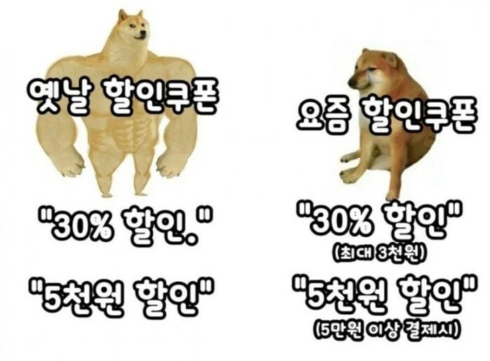 다리다리 분석과 실시간패턴통계