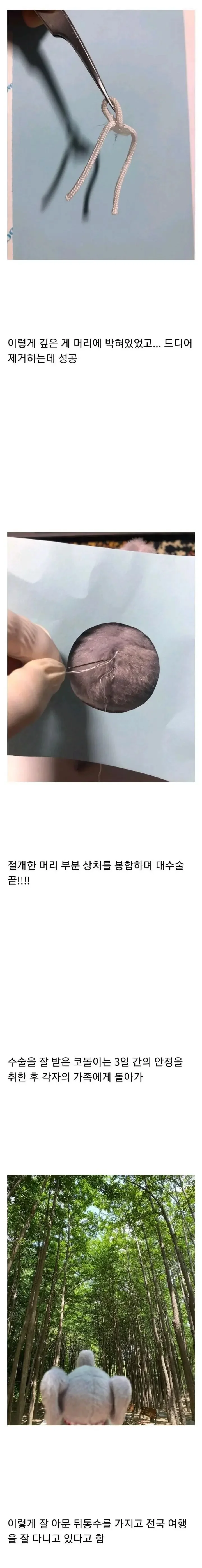 파워볼게임