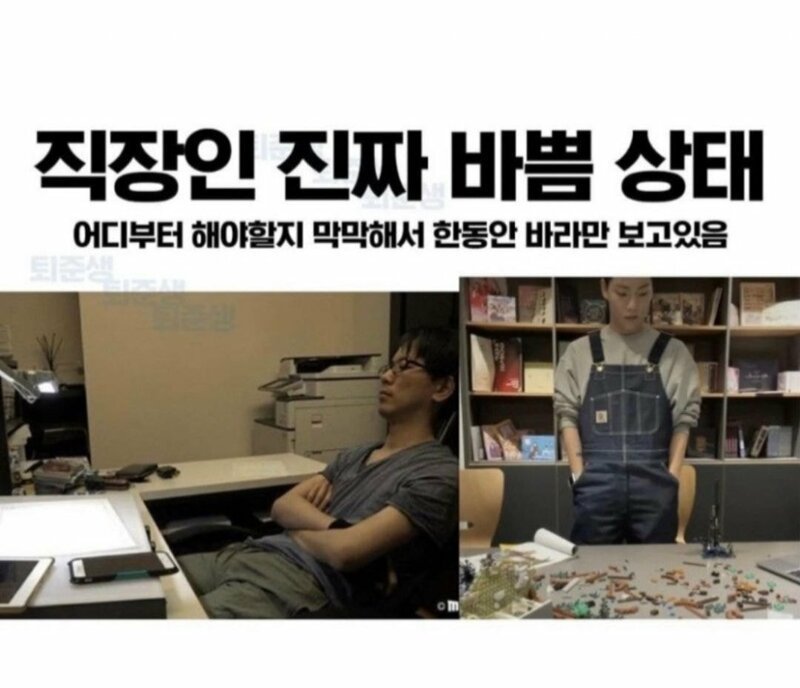 사다리 분석과 실시간패턴통계