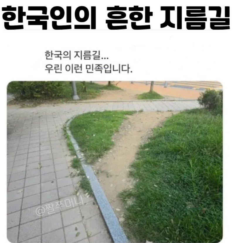 사다리 분석과 실시간패턴통계