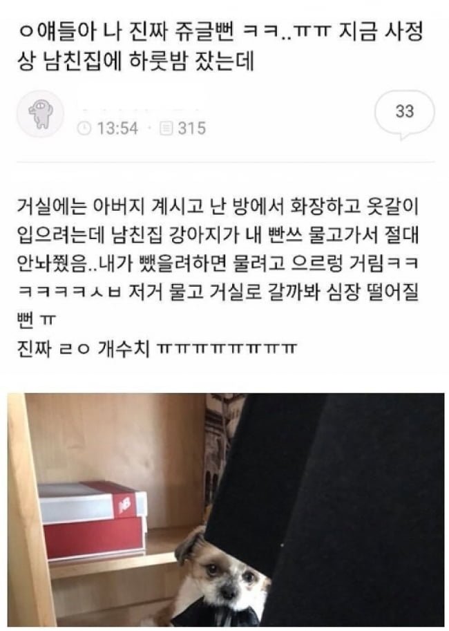 나눔로또 파워볼분석기