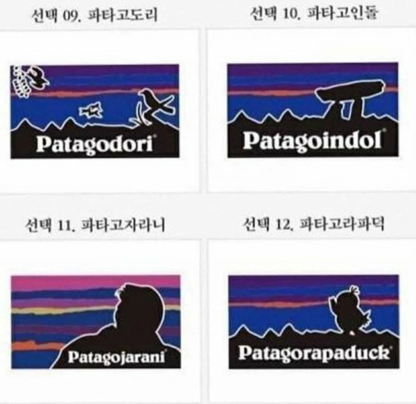 파워볼 분석과 실시간패턴통계