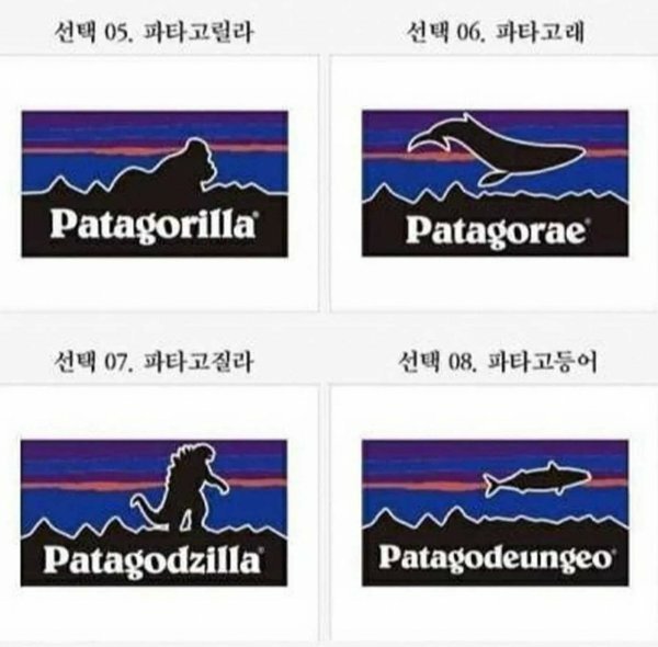 파워볼 분석과 실시간패턴통계