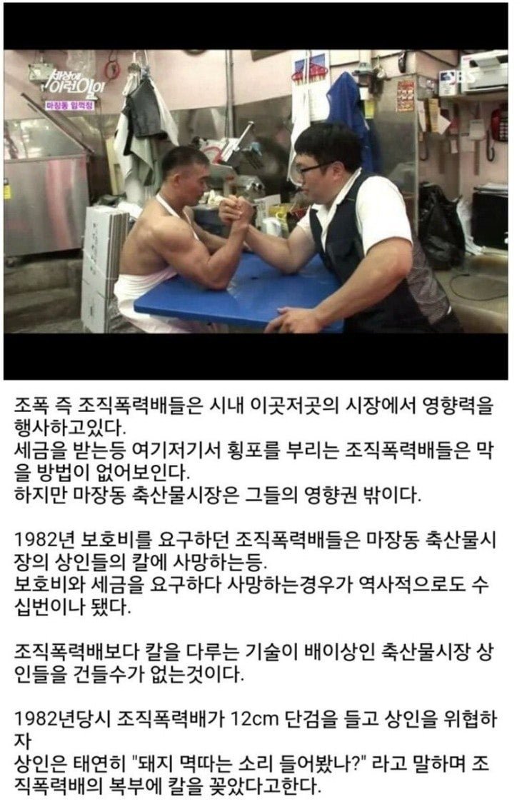 사다리 분석과 실시간패턴통계