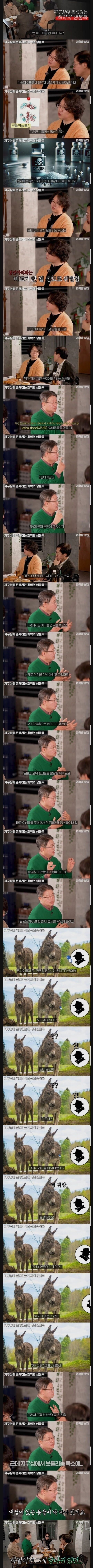 달팽이게임통계