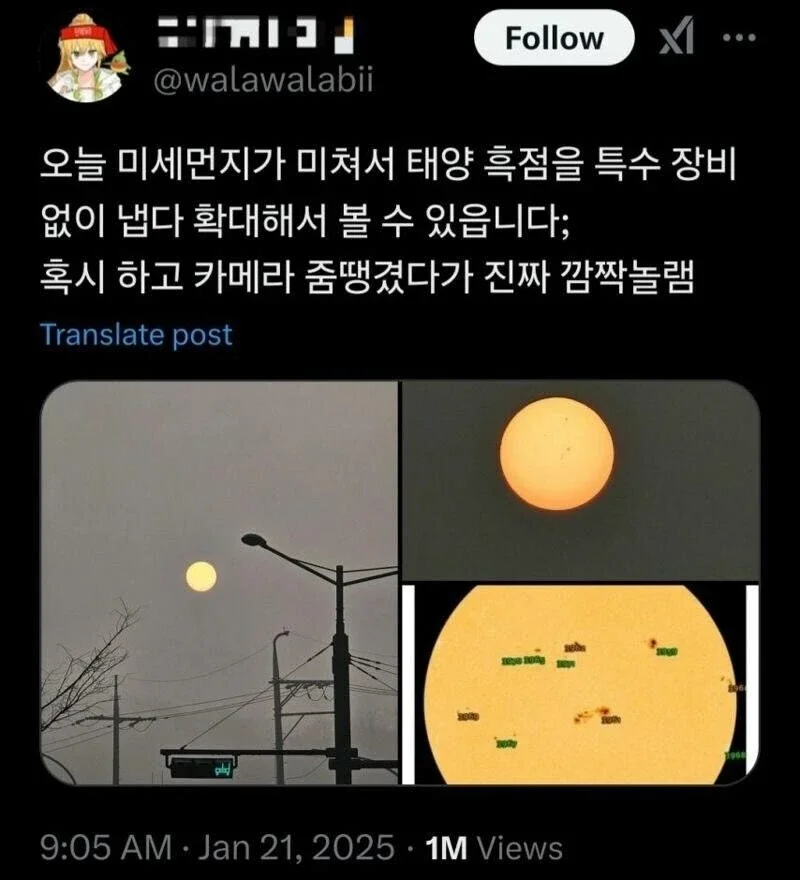 나눔로또 파워볼분석기