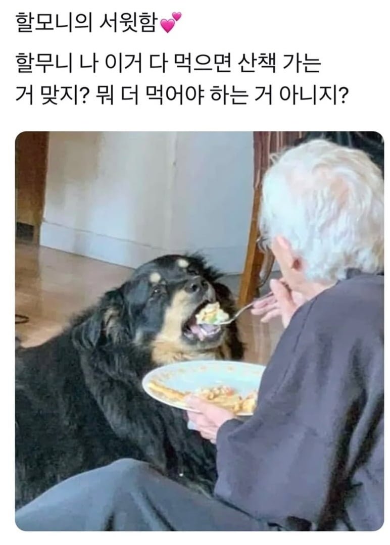 파워볼게임분석