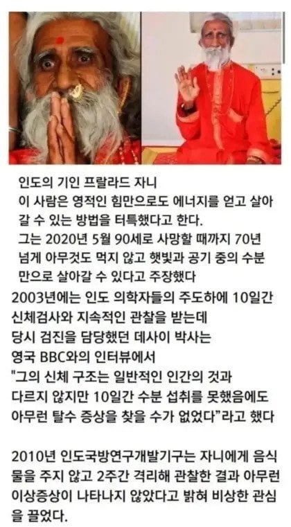 달팽이게임픽분석