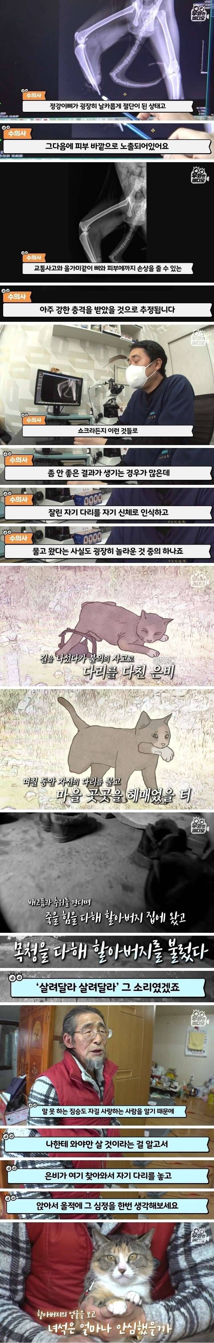 달팽이게임픽분석