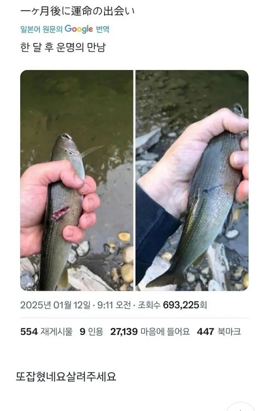 실시간달팽이