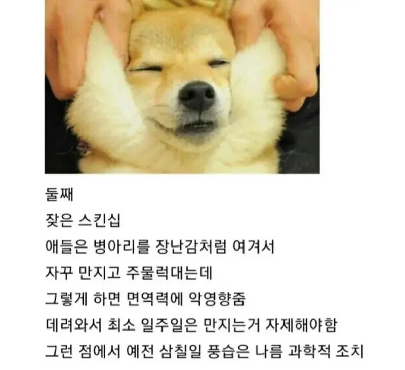 실시간달팽이