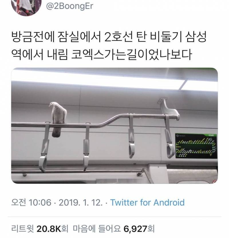 달팽이게임분석