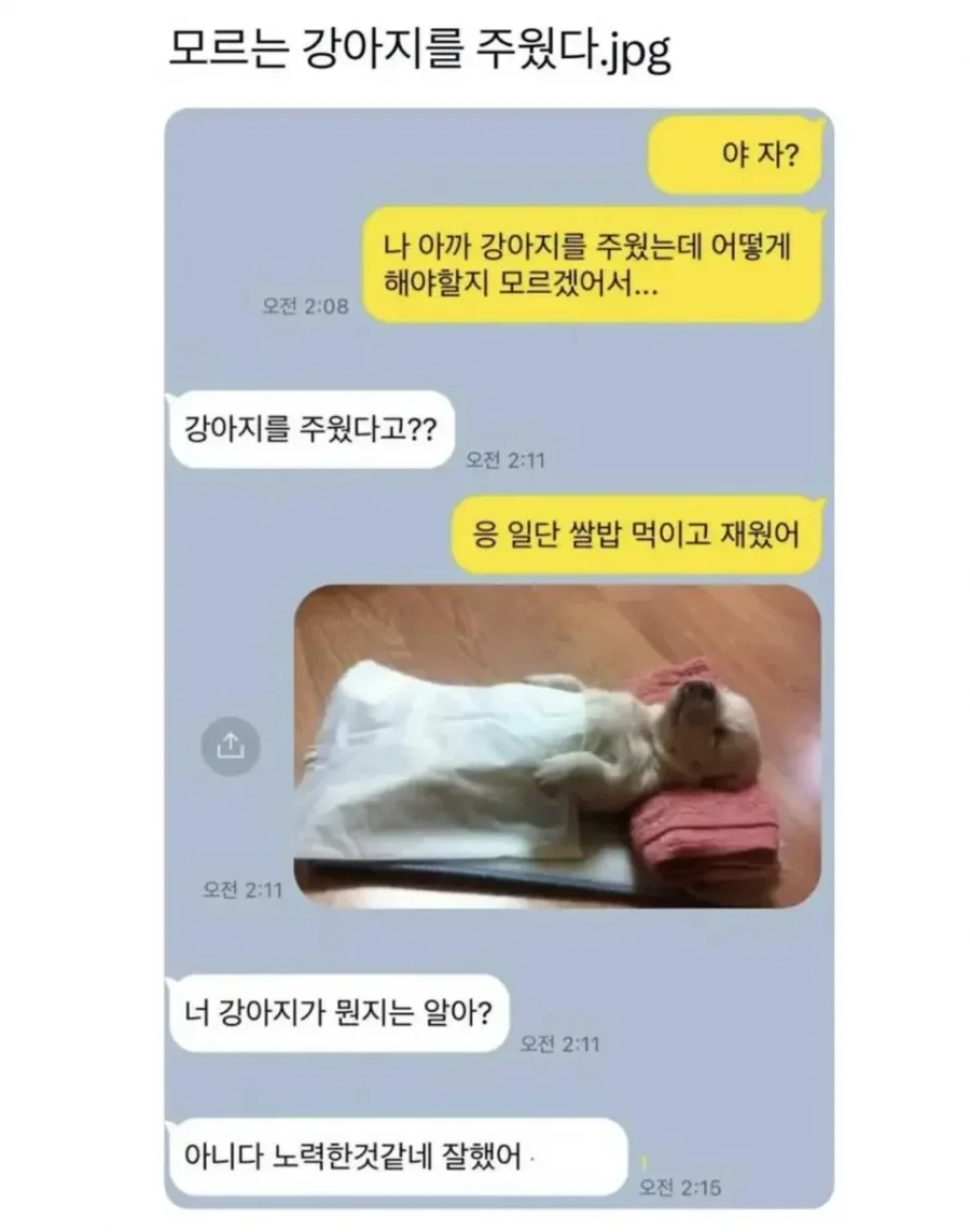 파워볼게임