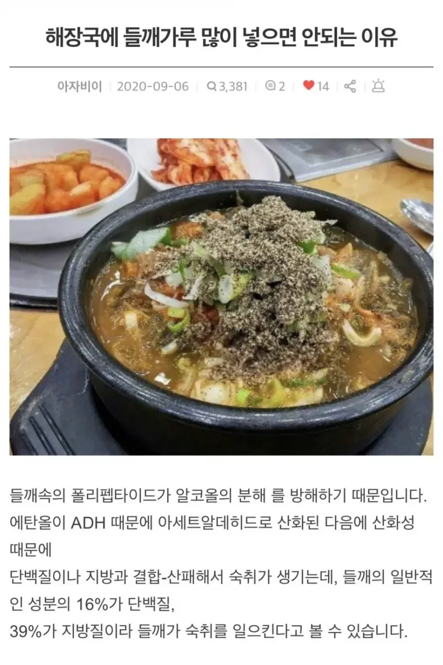 실시간다리다리