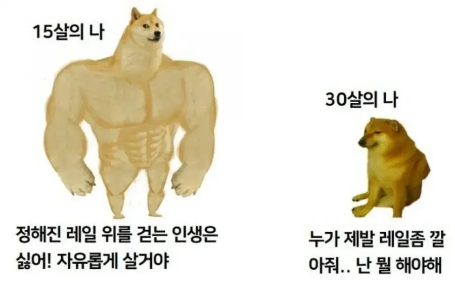 실시간사다리